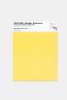 Artikelbild 1 des Artikels “PANTONE® METALLIC SHIMMERS SHEET 20-0041 TPM Clarified Butter “