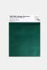 Artikelbild 1 des Artikels “PANTONE® METALLIC SHIMMERS SHEET 20-0182 TPM Racing Green “