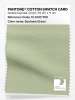 Product image 1 of the product “PANTONE® COTTON SWATCH CARD 12-0313 TCX Seafoam Green ”