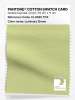 Product image 1 of the product “PANTONE® COTTON SWATCH CARD 12-0525 TCX Luminary Green ”