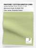 Artikelbild 1 des Artikels “PANTONE® COTTON SWATCH CARD 12-0540 TCX Grossular Green “