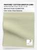 Product image 1 of the product “PANTONE® COTTON SWATCH CARD 12-0607 TCX Green Essence ”