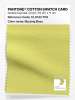 Artikelbild 1 des Artikels “PANTONE® COTTON SWATCH CARD 12-0743 TCX Buzzing Bees “