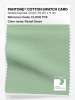 Product image 1 of the product “PANTONE® COTTON SWATCH CARD 13-0116 TCX Pastel Green ”