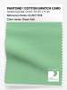 Product image 1 of the product “PANTONE® COTTON SWATCH CARD 13-0117 TCX Green Ash ”