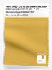 Product image 1 of the product “PANTONE® COTTON SWATCH CARD 13-0940 TCX Sunset Gold ”
