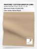 Product image 1 of the product “PANTONE® COTTON SWATCH CARD 13-1015 TCX Honey Peach ”