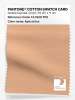 Product image 1 of the product “PANTONE® COTTON SWATCH CARD 13-1020 TCX Apricot Ice ”