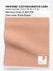 Artikelbild 1 des Artikels “PANTONE® COTTON SWATCH CARD 13-1021 TCX Prairie Sunset “