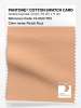 Artikelbild 1 des Artikels “PANTONE® COTTON SWATCH CARD 13-1023 TCX Peach Fuzz “