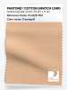 Product image 1 of the product “PANTONE® COTTON SWATCH CARD 13-1026 TCX Creampuff ”