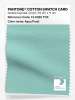 Artikelbild 1 des Artikels “PANTONE® COTTON SWATCH CARD 13-5320 TCX Aqua Frost “