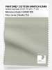 Product image 1 of the product “PANTONE® COTTON SWATCH CARD 13-6105 TCX Celadon Tint ”