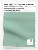 Artikelbild 1 des Artikels “PANTONE® COTTON SWATCH CARD 13-6110 TCX Mist Green “