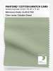 Product image 1 of the product “PANTONE® COTTON SWATCH CARD 14-0114 TCX Celadon Green ”