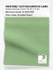 Artikelbild 1 des Artikels “PANTONE® COTTON SWATCH CARD 14-0123 TCX Arcadian Green “