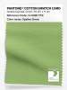 Product image 1 of the product “PANTONE® COTTON SWATCH CARD 14-0226 TCX Opaline Green ”