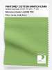 Product image 1 of the product “PANTONE® COTTON SWATCH CARD 14-0232 TCX Jade Lime ”