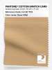 Product image 1 of the product “PANTONE® COTTON SWATCH CARD 14-1127 TCX Desert Mist ”