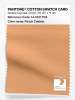 Artikelbild 1 des Artikels “PANTONE® COTTON SWATCH CARD 14-1231 TCX Peach Cobbler “