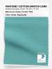 Artikelbild 1 des Artikels “PANTONE® COTTON SWATCH CARD 14-5117 TCX Aquacade “