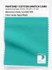 Artikelbild 1 des Artikels “PANTONE® COTTON SWATCH CARD 14-5125 TCX Aqua Wash “