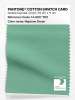 Product image 1 of the product “PANTONE® COTTON SWATCH CARD 14-6017 TCX Neptune Green ”