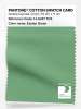 Product image 1 of the product “PANTONE® COTTON SWATCH CARD 14-6327 TCX Zephyr Green ”
