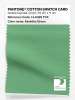 Artikelbild 1 des Artikels “PANTONE® COTTON SWATCH CARD 14-6329 TCX Absinthe Green “