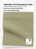 Product image 1 of the product “PANTONE® COTTON SWATCH CARD 15-0318 TCX Sage Green ”