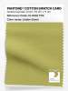 Product image 1 of the product “PANTONE® COTTON SWATCH CARD 15-0533 TCX Linden Green ”