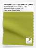 Product image 1 of the product “PANTONE® COTTON SWATCH CARD 15-0538 TCX Green Oasis ”