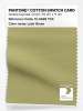 Artikelbild 1 des Artikels “PANTONE® COTTON SWATCH CARD 15-0628 TCX Leek Green “
