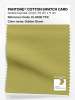 Product image 1 of the product “PANTONE® COTTON SWATCH CARD 15-0636 TCX Golden Green ”