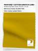 Product image 1 of the product “PANTONE® COTTON SWATCH CARD 15-0751 TCX Lemon Curry ”