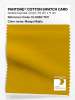 Artikelbild 1 des Artikels “PANTONE® COTTON SWATCH CARD 15-0960 TCX Mango Mojito “
