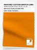 Artikelbild 1 des Artikels “PANTONE® COTTON SWATCH CARD 15-1264 TCX Turmeric “