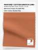 Artikelbild 1 des Artikels “PANTONE® COTTON SWATCH CARD 15-1429 TCX Dusted Clay “