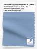 Product image 1 of the product “PANTONE® COTTON SWATCH CARD 15-3917 TCX Frozen Fjord ”