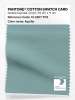 Product image 1 of the product “PANTONE® COTTON SWATCH CARD 15-5207 TCX Aquifer ”