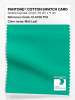 Artikelbild 1 des Artikels “PANTONE® COTTON SWATCH CARD 15-5728 TCX Mint Leaf “
