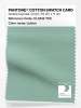 Product image 1 of the product “PANTONE® COTTON SWATCH CARD 15-5812 TCX Lichen ”