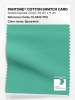 Product image 1 of the product “PANTONE® COTTON SWATCH CARD 15-5819 TCX Spearmint ”