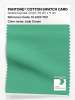 Artikelbild 1 des Artikels “PANTONE® COTTON SWATCH CARD 15-6123 TCX Jade Cream “