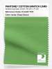 Product image 1 of the product “PANTONE® COTTON SWATCH CARD 15-6437 TCX Grass Green ”