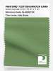 Artikelbild 1 des Artikels “PANTONE® COTTON SWATCH CARD 16-0228 TCX Jade Green “