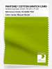 Product image 1 of the product “PANTONE® COTTON SWATCH CARD 16-0230 TCX Macaw Green ”