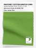 Product image 1 of the product “PANTONE® COTTON SWATCH CARD 16-0235 TCX Kiwi ”