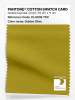 Artikelbild 1 des Artikels “PANTONE® COTTON SWATCH CARD 16-0639 TCX Golden Olive “
