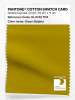Product image 1 of the product “PANTONE® COTTON SWATCH CARD 16-0742 TCX Green Sulphur ”